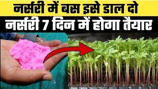 How to Accelerate growth of Pro-Tray Nursery | Pro-Tray Nursery Technique | Pro-Tray Method | NPK