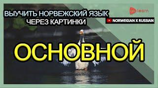 Выучить норвежский язык через картинки |норвежский язык словарь основной | Golearn