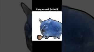 мир сошел с ума