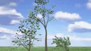 Ivo Trees with Softimage - Demo