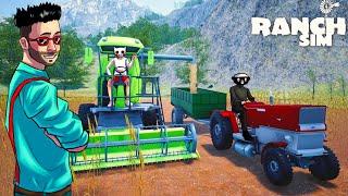 РАНЧО ПРОЦВЕТАЕТ! СОБИРАЕМ ПЕРВЫЙ УРОЖАЙ С ПОЛЯ В RANCH SIMULATOR