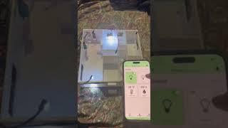 SmartHome App using React Native ESP8266 AND MQTT BROKER