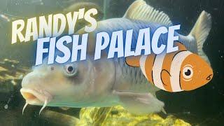 A Fun Trip to Randy’s Fish Palace in Stockton, CA