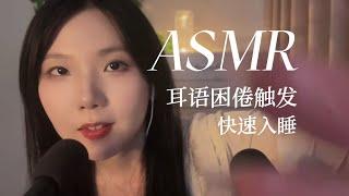 中文ASMR 软糯耳语助眠 在你的脸上贴贴纸 滴管声音 多种耳边声音 快速入眠