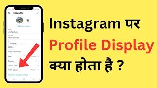 Instagram Me Profile Display Kya Hota Hai | What Is Profile Display On Instagram