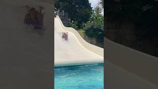 Lido WATERPARK Kos Greece slides #slides #waterpark #koswaterpark #kos #greece #greekwaterpark #lido