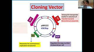 pBR322: Plasmid, Cloning Vector, Ampicillin & tetracycline resistance @ Dr. K. PREM - PRIMER