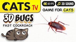 CAT TV - 3D cockroach 🪳 Best game for CATS  [4K]