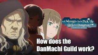 How does the DanMachi Guild Work?