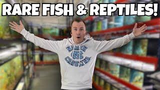 RARE FISH & REPTILES MEGA STORE! 450 Aquariums - Datz Cichlids & Reptiles FULL TOUR