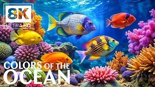 Ocean Wonders 8K UHD  Colorful Reef Fish & Soothing Sea Life - Relaxing Music for Sleep & Calm