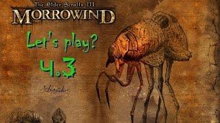 Morrowind Fullrest repack 1.5 слепое прохождение ч.3: Пелагиад