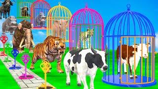 Choose The Right Animal Key With Elephant Cow Tiger Hippo Buffalo Escape Room Challenge Long Slide