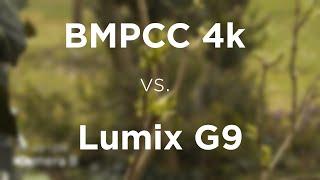 BMPCC 4k vs Lumix G9 | AlexProductions