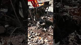 Amazing Stump Bucket #shorts #tractor #kubota