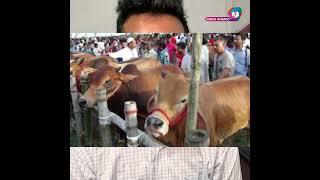 ভয়ে কেউ কোরবানি দিচ্ছে না | Sabuj Ahmed | Daily Dhaka #news