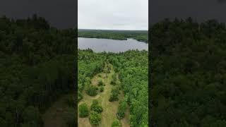 Off Grid Luxury Lakefront Log home IN Nova Scotia for Sale #novascotiarealestate #offgrid #loghome