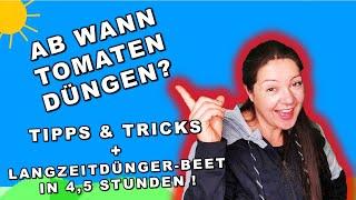 TOMATEN DÜNGEN ab WANN - Tomaten selber ziehen - Bio-Langzeitdünger & NIE WIEDER DÜNGEN