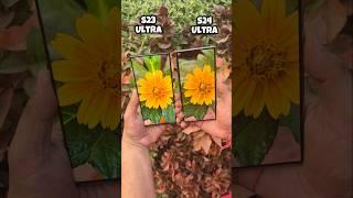 Samsung S23 Ultra vs S24 Ultra Camera Test #samsung #s23ultra #s24ultra #trending #shorts