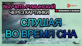 Выучить румынский через картинки |румынский словарь Слушая во время сна | Golearn