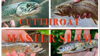 Intro to the Cutthroat Master Slam