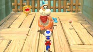 Super Mario 3D World 100% Co-Op Walkthrough - World 1 (2 Player)