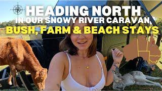 Ultimate Caravan Road Trip up to North Aus: Bush, Farm & Beach Stays