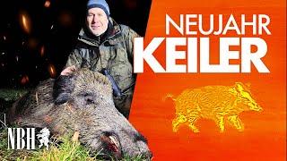  Wild boar  put down with handgun‼️ How quickly did that happenWild boar hunting with Christi...