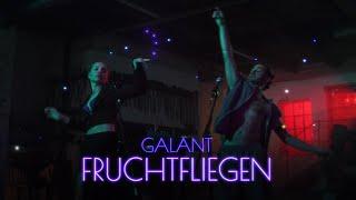 GALANT - Fruchtfliegen (Offizielles Musikvideo)