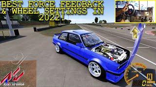 BEST Force Feedback & Wheel Settings for Assetto Corsa in 2022! (WORKS FOR ALL STEERING WHEELS!)