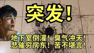 突发！急！地下室倒灌！臭气冲天！手足无措！急求解决方案！ #toronto  #houserepair