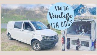 Vanlife with dogs | VW T6 campervan tour