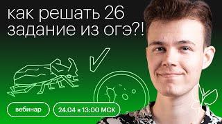 Как решать 26 задние из ОГЭ?! | ОГЭ БИОЛОГИЯ 2022 | СОТКА