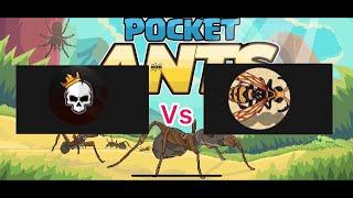 Pocket ants Marz54 vs DIZZZERT