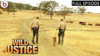 Wild Justice: California | Season 1 Episode 11 (2010) | FULL EPISODE