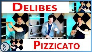 Léo Delibes: Pizzicato - Sylvia Ballet | Classical arrangement by Nathan Glenn