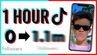 I Tried Becoming TikTok Famous In 1 Hour