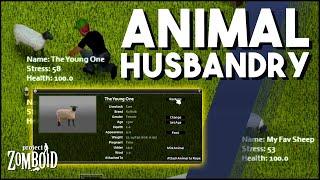 Project Zomboid B42 Brings Animal Husbandry Features! Project Zomboid Build 42 Development Update!