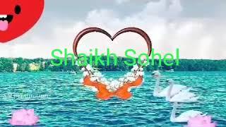 Shaikh sohel 2356@com