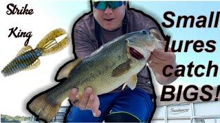 Strike King | Baby RAGE Bug |  (Big BASS Landed)