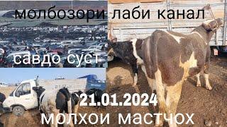 молбозори лаби канал Ш.хучанд