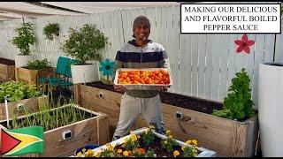 MAKING OUR DELICIOUS AND FLAVORFUL BOILED PEPPER SAUCE