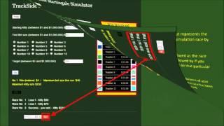 Trackside Martingale Simulator Help