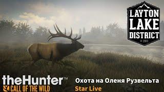 theHunter:Call of the Wild/Охота Оленя Рузвельта/Roosevelt Elk Hunting