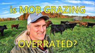 Mob Grazing vs. Open Field Grazing: Our Farm's Experiences