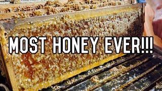 RECORD Honey HARVEST | How We Extracted Our MOST HONEY EVER!!!