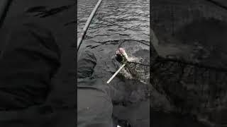 fishing amazing compilation video 2022 г. Baliq ovi рыбалка
