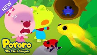 Pororo Amazon Adventure |  The Secret of the Golden Frog | Animation & Cartoon for Kids