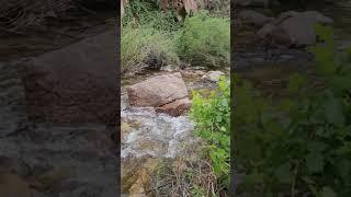 #jemez #mountains #newmexico #newmexicotravel #riverside #fyp #reels #shorts #asmr