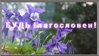 Вижу Бога каждый день , лишь глаза открою рано утром ...Христианская музыкальная открытка.